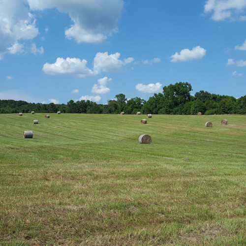 Ranch Management